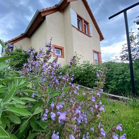 Villa Le Refuge De L'Ours à Baerenthal Extérieur photo