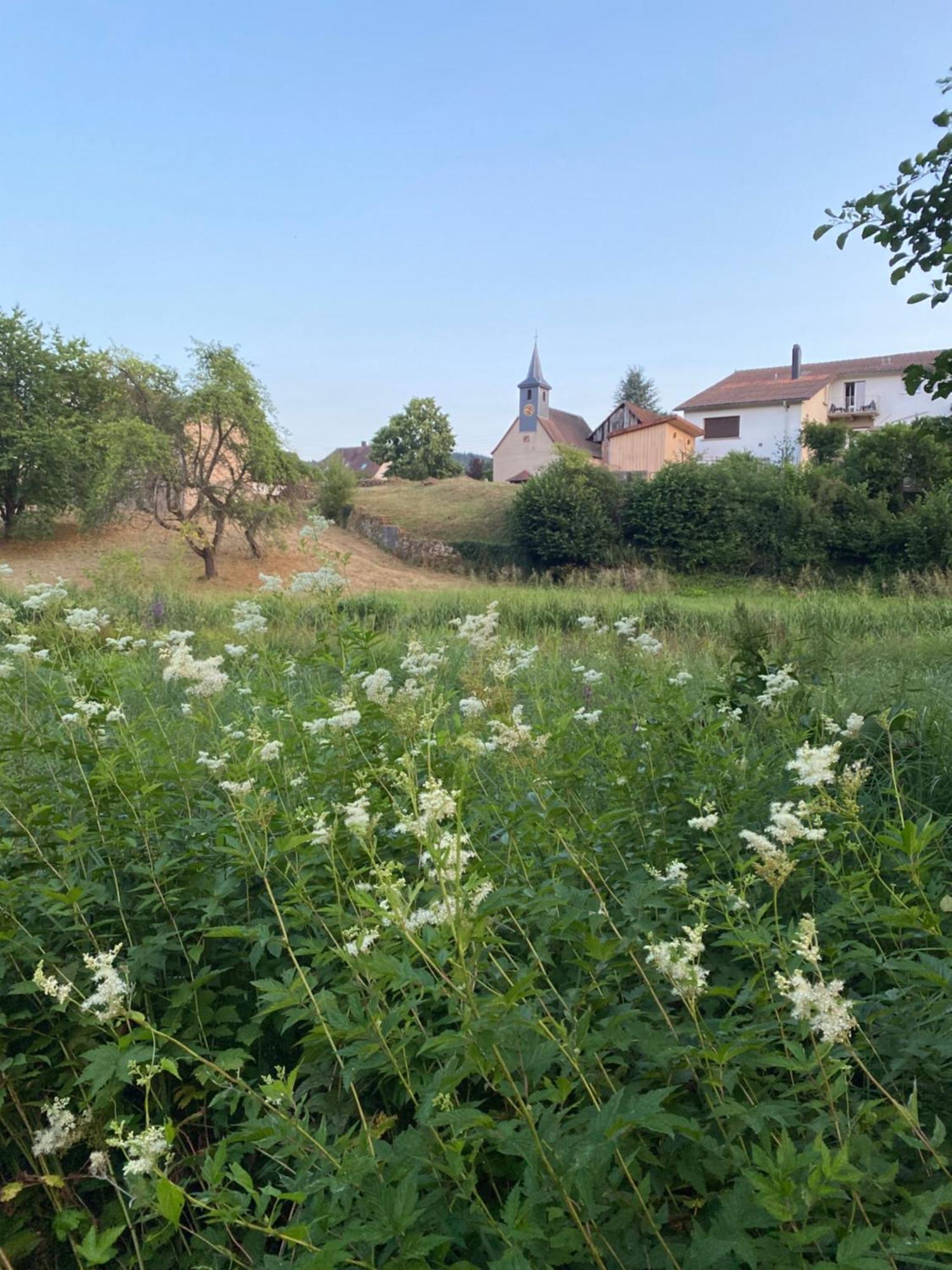 Villa Le Refuge De L'Ours à Baerenthal Extérieur photo