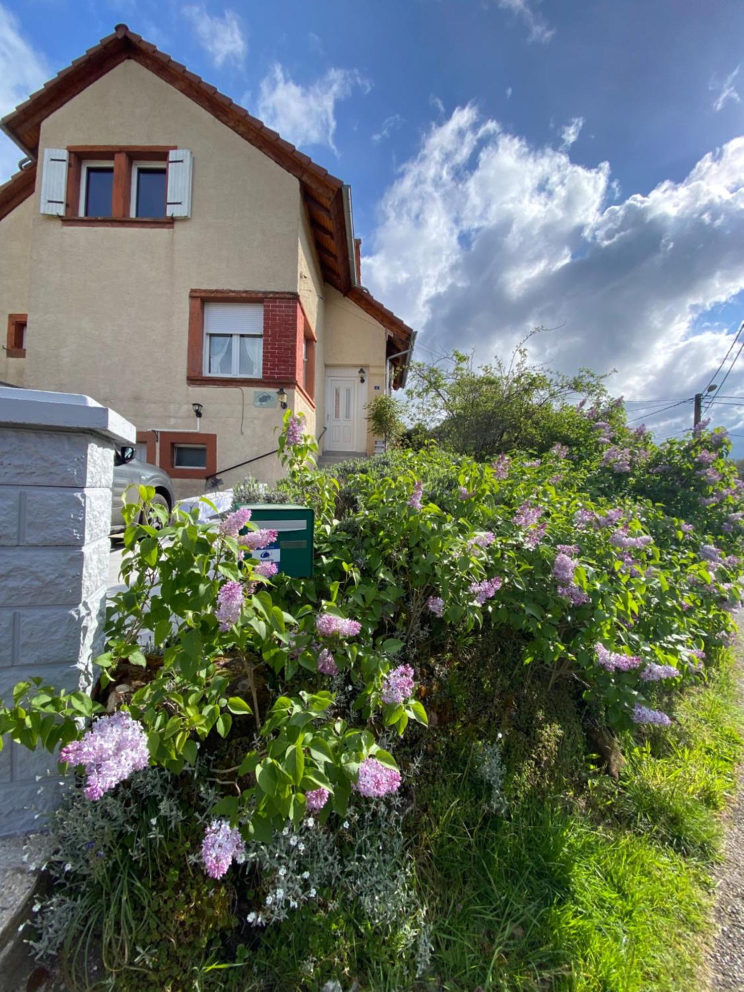 Villa Le Refuge De L'Ours à Baerenthal Extérieur photo