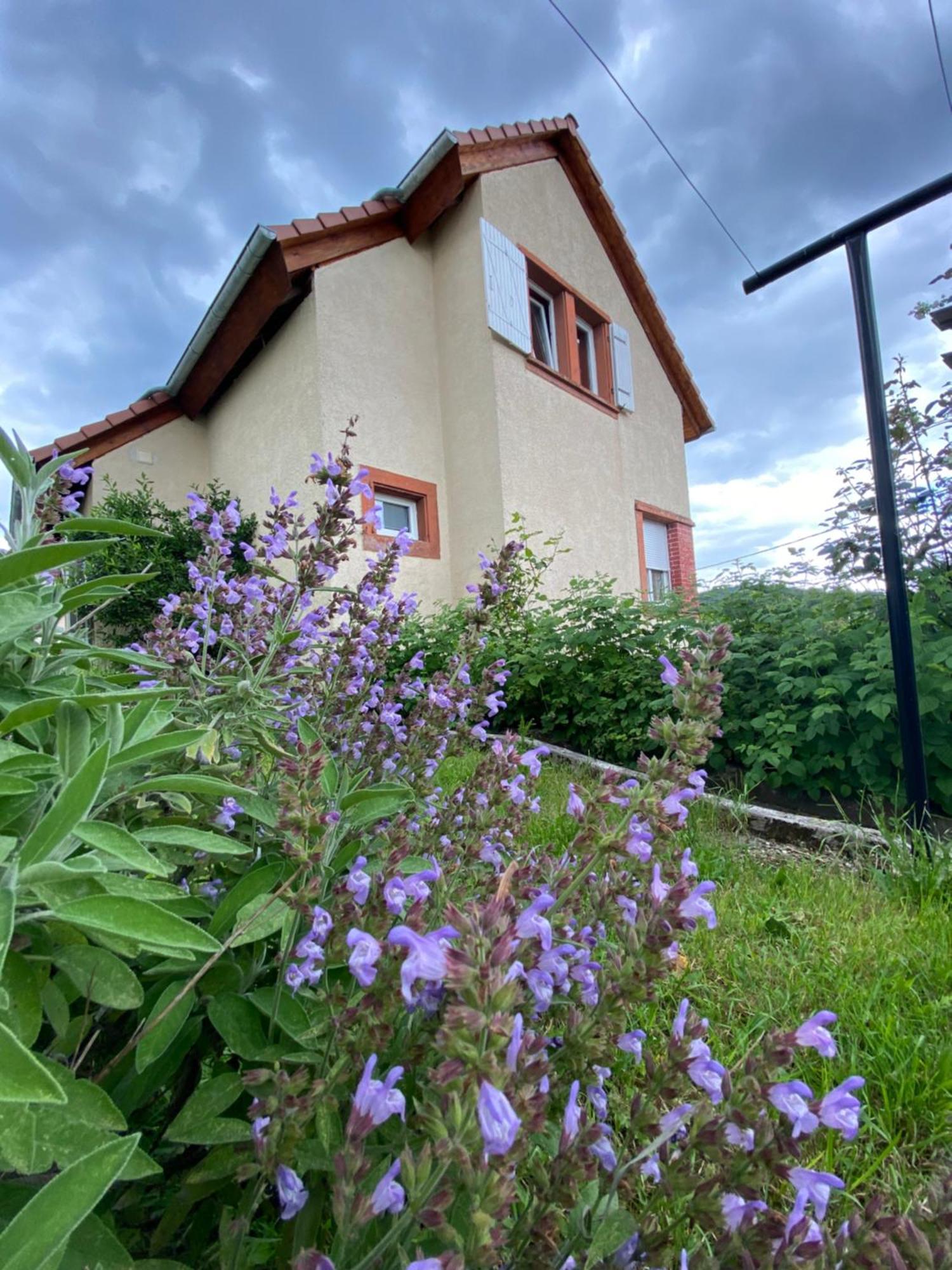 Villa Le Refuge De L'Ours à Baerenthal Extérieur photo