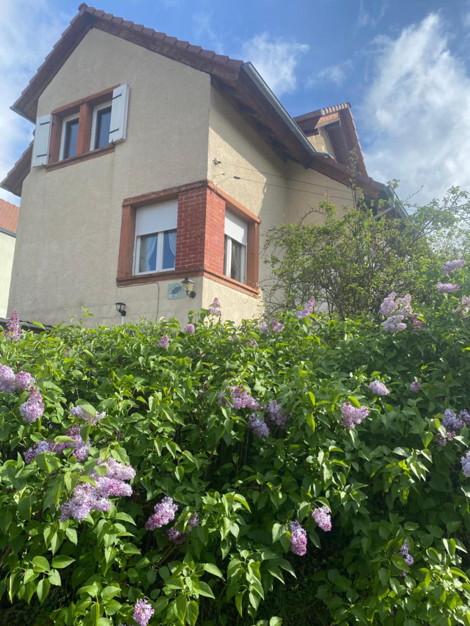 Villa Le Refuge De L'Ours à Baerenthal Extérieur photo