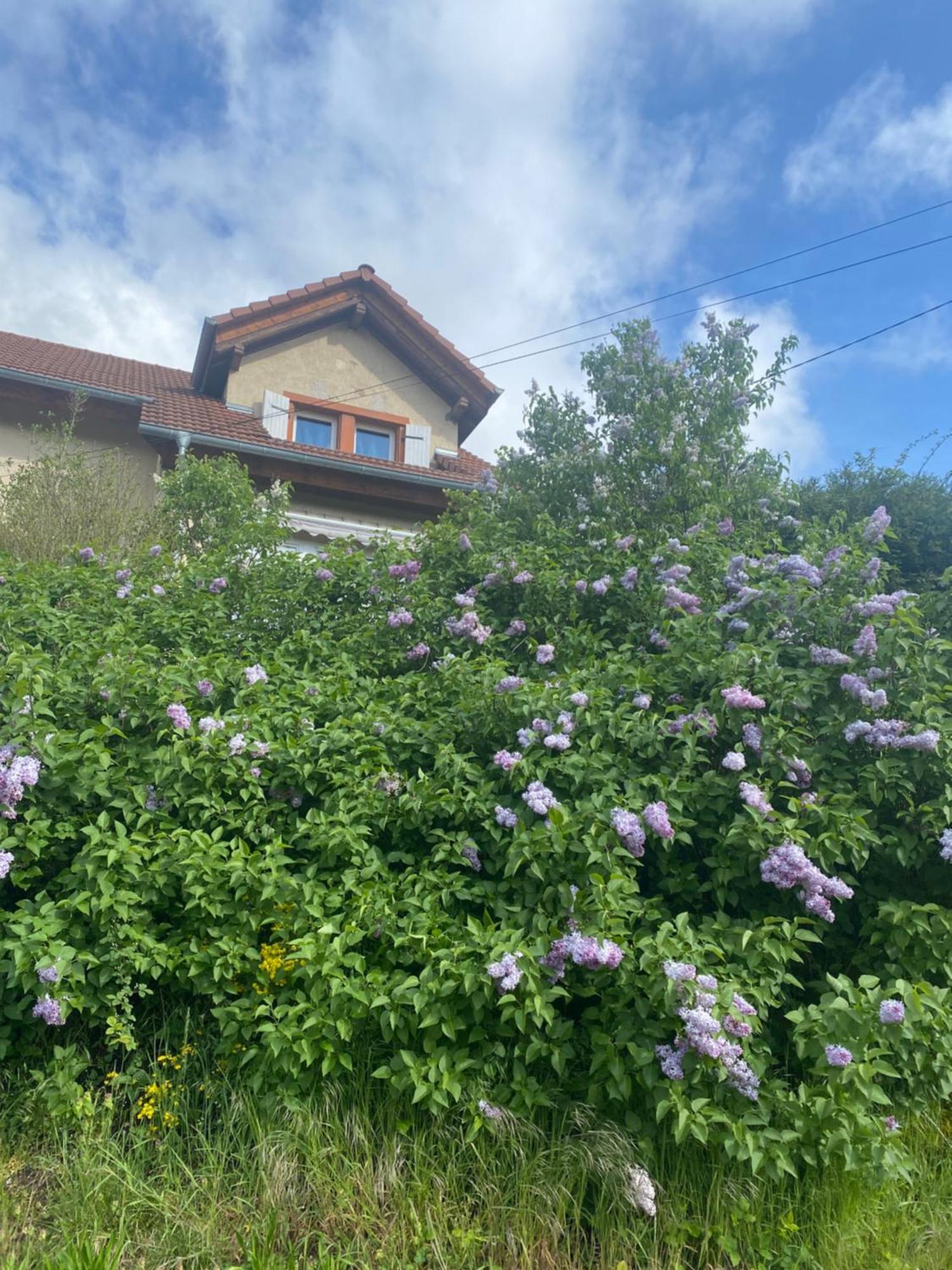 Villa Le Refuge De L'Ours à Baerenthal Extérieur photo