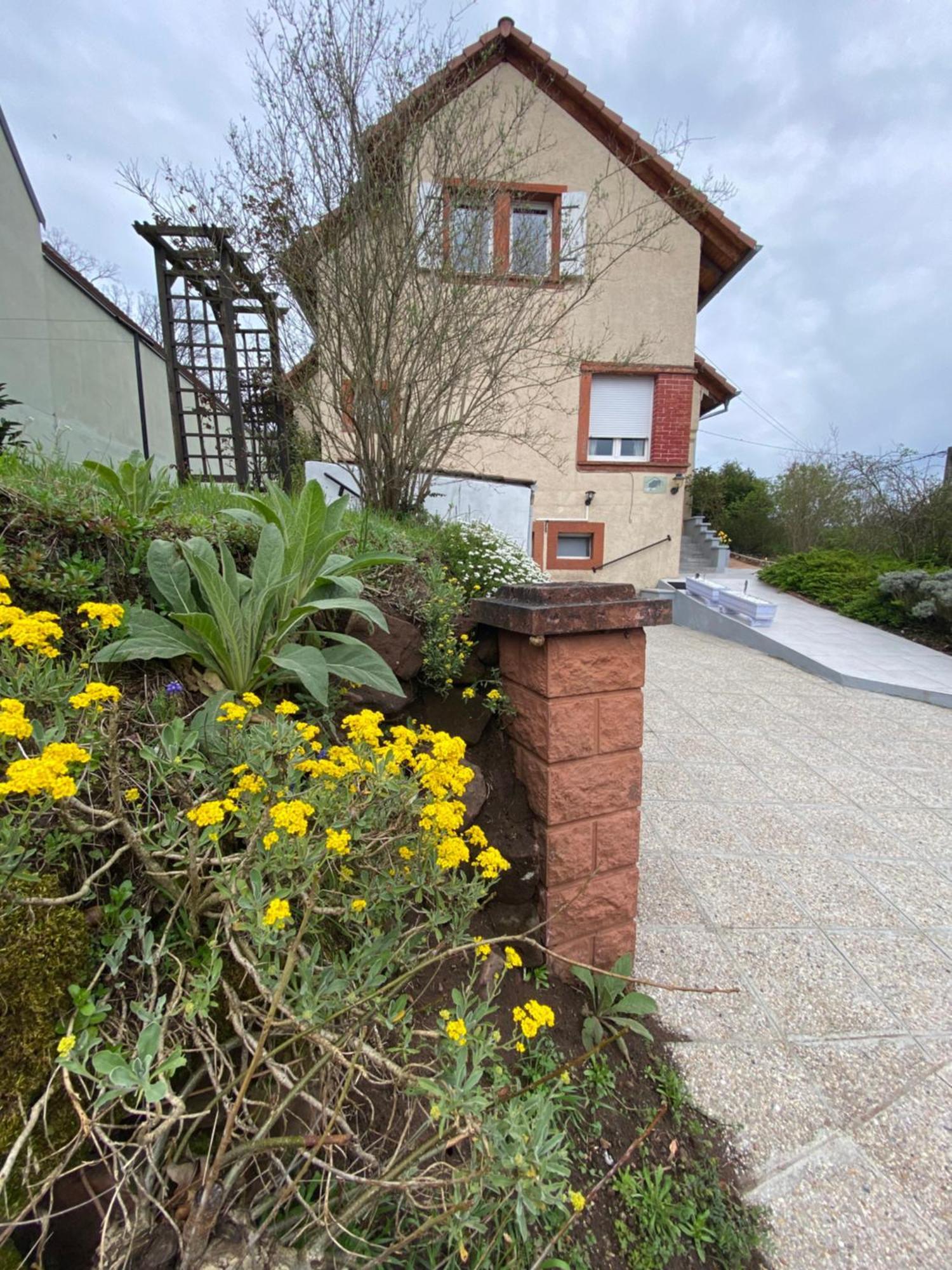 Villa Le Refuge De L'Ours à Baerenthal Extérieur photo