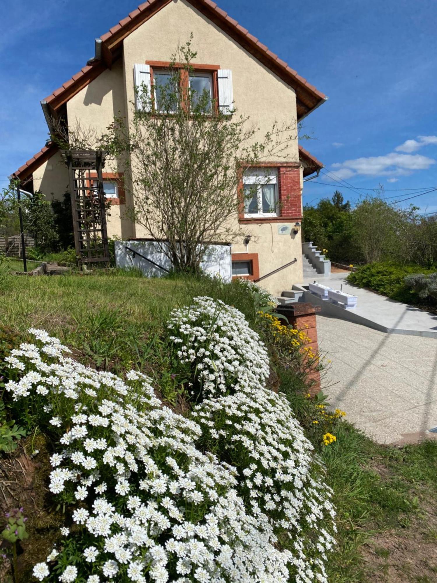 Villa Le Refuge De L'Ours à Baerenthal Extérieur photo